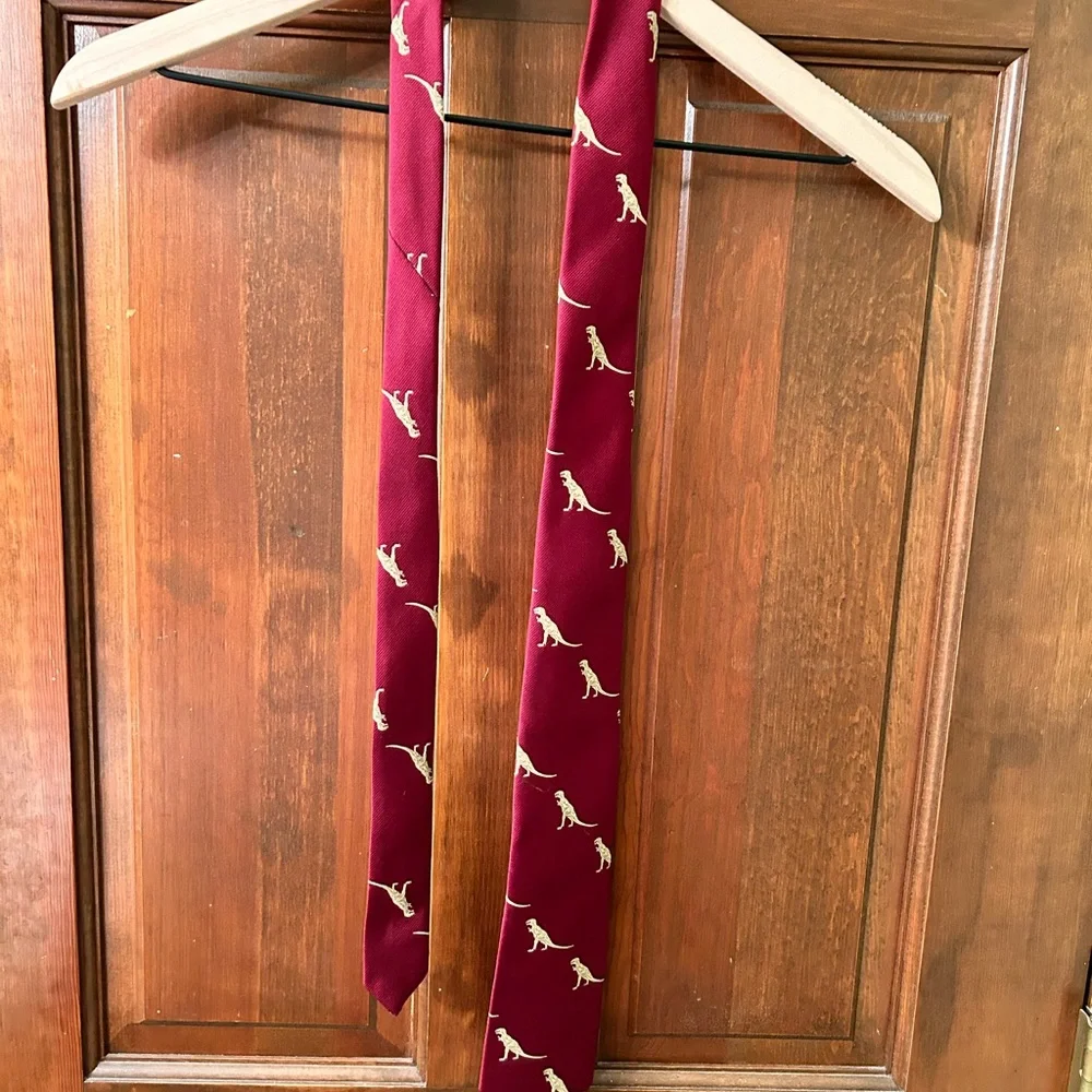Awesome T-Rex Youth tie, made for the American Natural History Museum. No stains